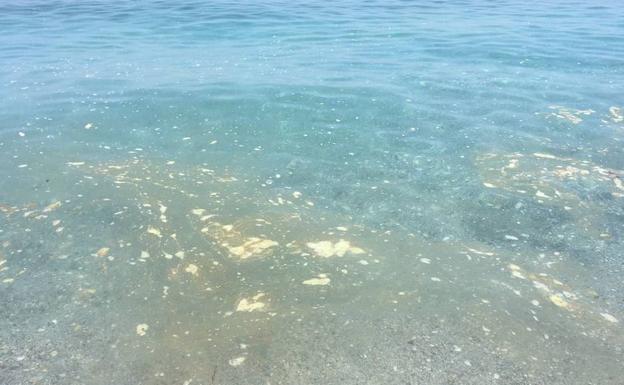 Suciedad en la playa de El Salón, este viernes en Nerja./