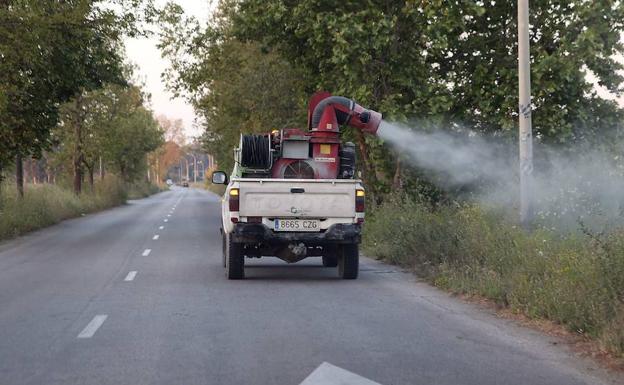 Tareas de fumigación en Guadalmar hace unos meses. /Salvador Salas