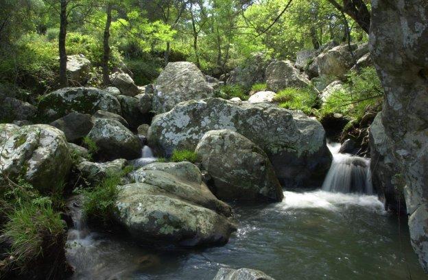 Arroyo a su paso por La Sauceda, en Cortes de la Frontera.