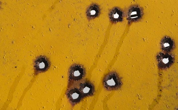 Espermatozoides vistos al microscopio./
