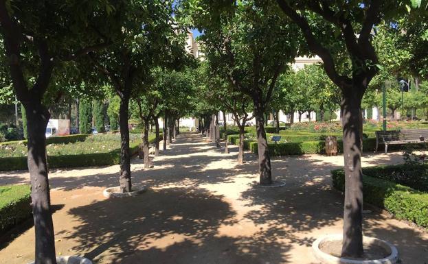 Medio Ambiente trata de que todas las zonas verdes se rieguen con aguas subterráneas.