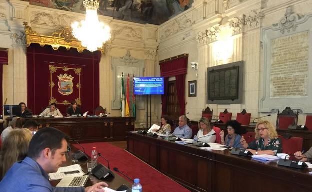 Del Corral presidió una parte de la comisión de Derechos Sociales /P. R. Q.