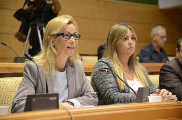 La concejala de Personal, Carmen García, ayer en el pleno. :: sur/