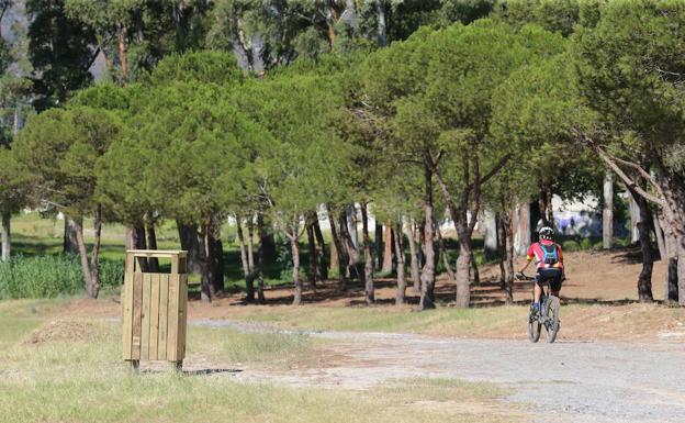 La energía fotovoltaica servirá para el autoconsumo eléctrico de las luminarias del parque forestal./Fernando González