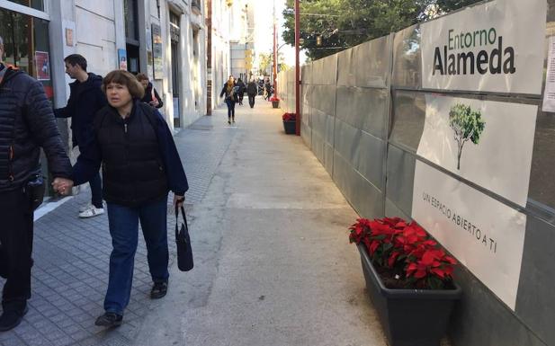 Metro Málaga ha instalado doce maceteros con flores de pascua en la Alameda Principal. /J. S. T.