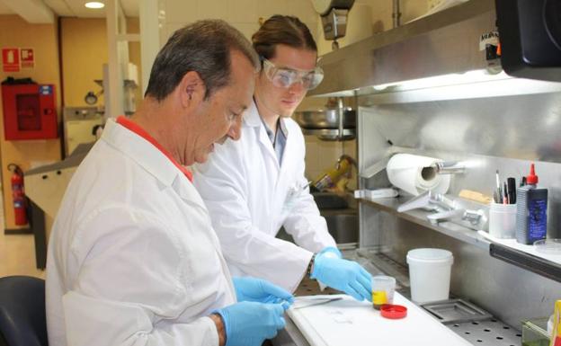 Dos profesionales de anatomía patológica del Hospital Clínico realizan su trabajo. /SUR