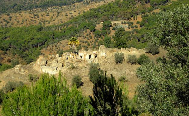 Imagen de archivo de los Montes de Málaga. /Beni Lorenzo