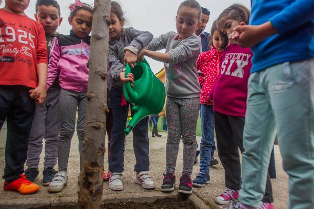 Los niños participan en la plantación de árboles. :: fran acevedo/