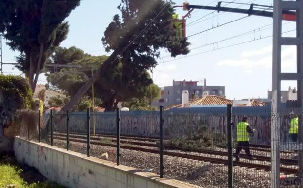 Una grúa retira el árbol de las vías./Torremolinos TV