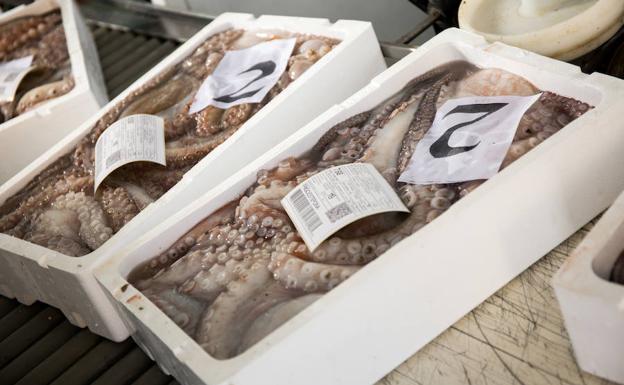 El pulpo es la tercera especie en volumen de capturas en Málaga.