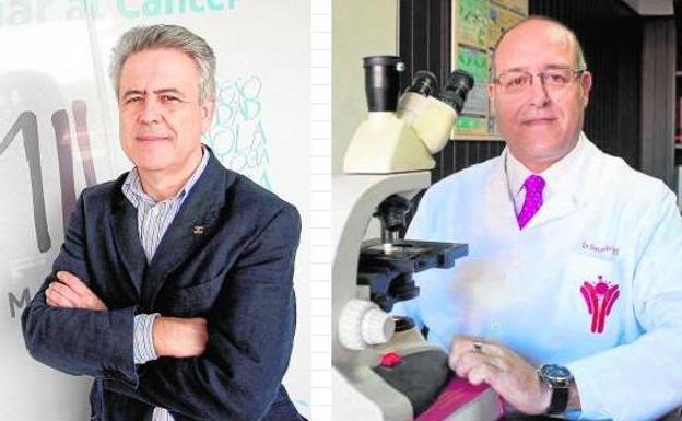 El oncólogo Emilio Alba y el inmunólogo Fernando Fariñas./SUR