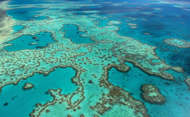 Vista aérea del Parque Marino de la Gran Barrera de Coral, en Australia./EFE