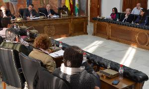 Imagen de una sesión plenaria en el Consistorio rinconero. / E. CABEZAS/