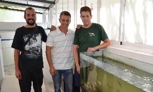 Alejandro Beltrán, Juan Antonio López y Álvaro Atencia, junto a los acuarios en las que se reproducen las tilapias en Torrox. :: E. CABEZAS/
