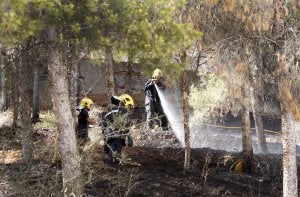 Los bomberos exitinguieron rápidamente las llamas. ::
Álvaro Cabrera/