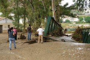 GUADALHORCE: La fuerza de la corriente, mezclada con barro y rocas, causó graves destrozos, entre ellos el de este puente de hierro en Álora. :: J.J. Buiza/