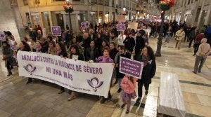 Un momento del paso de la manifestación por la calle Larios de la capital. :: CARLOS MORET/