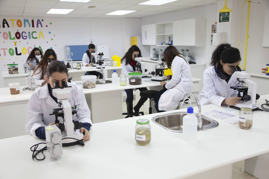 Alumnos de Cesur del ciclo de Anatomía Patológica. /Cesur