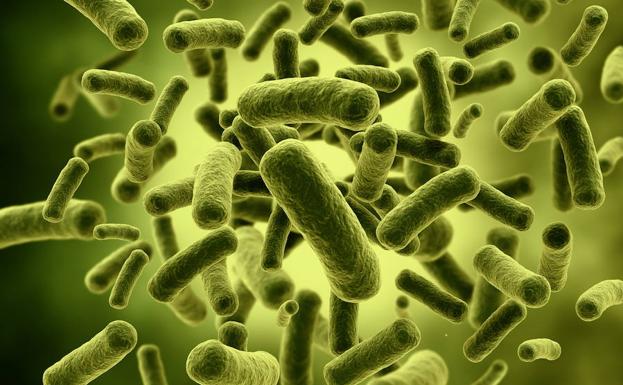 Klebsiella sintomas y tratamiento