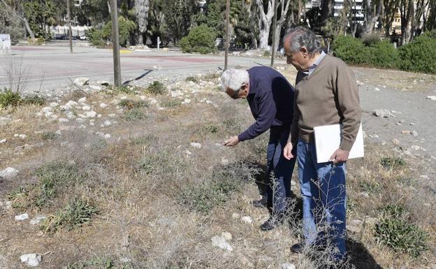 La Junta vallará parte de los Baños del Carmen para proteger una planta en  peligro de extinción | Diario Sur