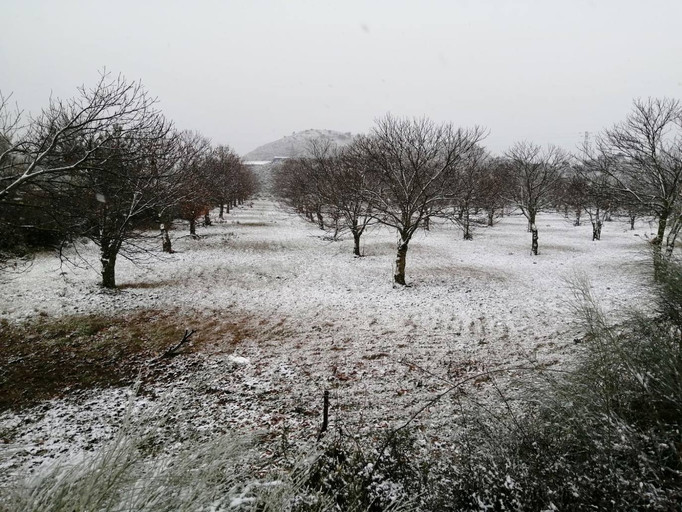 Fotos La nieve en Málaga y el interior de Andalucía Diario Sur