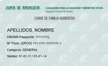 Novedades en la expedición y renovación del título y carné de familia numerosa en Andalucía