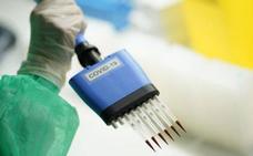 ¿Cuánto cuesta un test serológico?