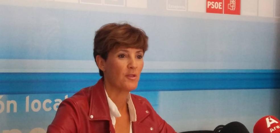 El PSOE de Estepona presenta más de veinte alegaciones a los presupuestos de 2021 2 El PSOE de Estepona presenta más de veinte alegaciones a los presupuestos de 2021 2