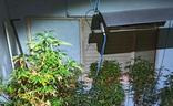 Interior de la habitación en la que había una plantación de marihuana ./CNP