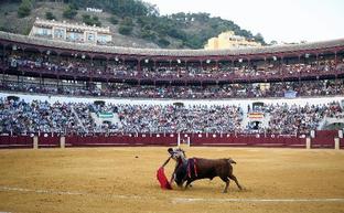 El pliego prevé una concesión por cuatro años./SUR