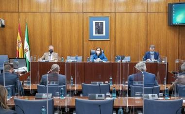 Comparecencia de los agentes sociales en la comisión de Hacienda del Parlamento celebrada ayer. sur/