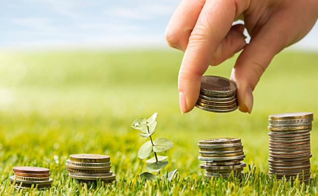 Productos financieros sostenibles, el éxito de un futuro verde y rentable