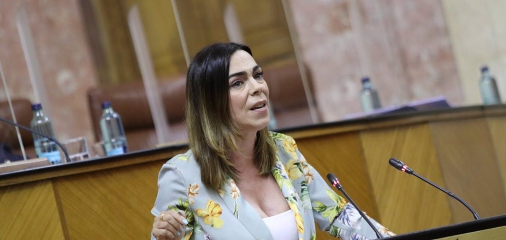 El Parlamento aprueba el dictamen de la Ley de Infancia y Adolescencia - Vimarsana News