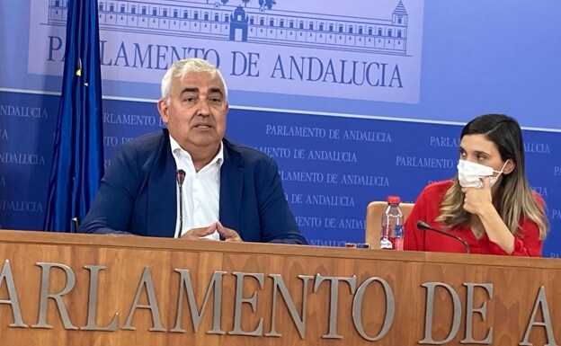 Antonio Ramírez de Arellano y la vicepresidenta socialista María Márquez.  /Sur
