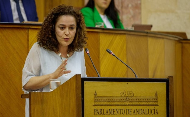 Inmaculada Nieto enfoca la pobreza y desfigura al Presidente, que no la convierte en una de sus prioridades