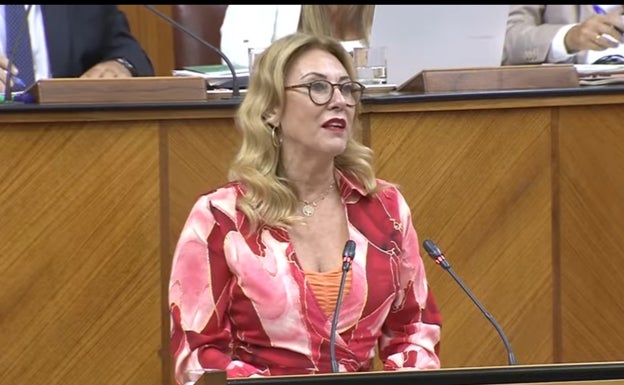 El Parlamento aprueba el nuevo paquete de reducción de impuestos del comité en medio del debate fiscal