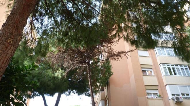 La Roca pide más limpieza y mantenimiento | Diario Sur