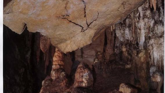 revolución costilla visual Un nuevo método cifra en 20.000 años la antigüedad de pinturas de la Cueva  de Nerja | Diario Sur